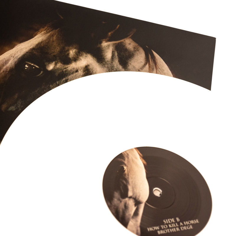 Brother Dege - How To Kill A Horse Vinyl Gatefold LP  |  White
