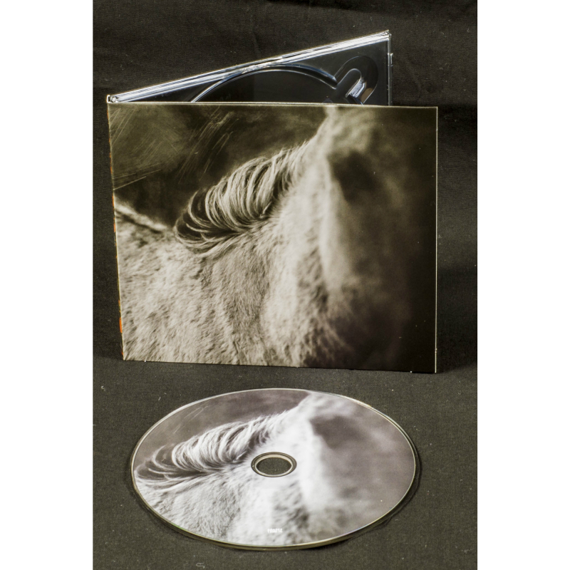 Les Discrets - Rue Octavio Mey / Fleur des Murailles CD