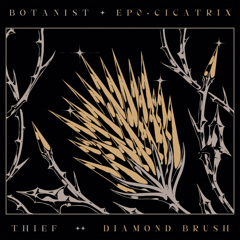 Thief - Cicatrix / Diamond Brush (Split with Botanist) Vinyl LP  |  Black