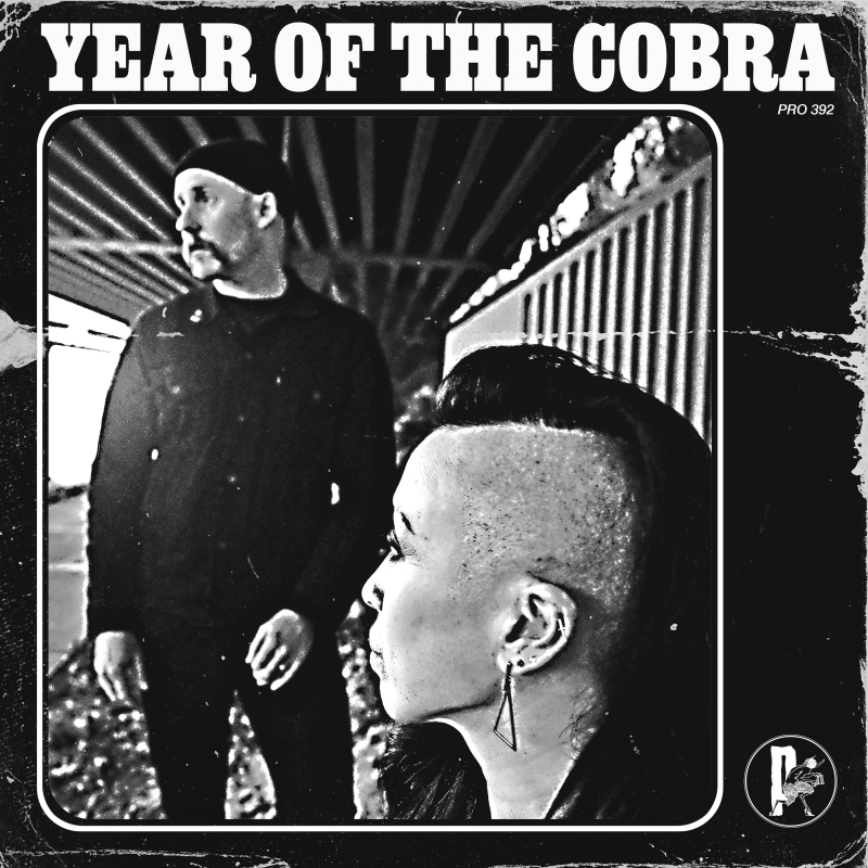 Year Of The Cobra - Year Of The Cobra Vinyl LP  |  Smokey