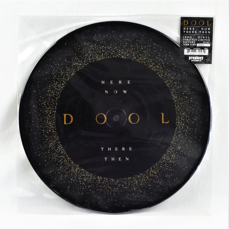 Dool - Here Now, There Then Vinyl Picture LP  |  Picture