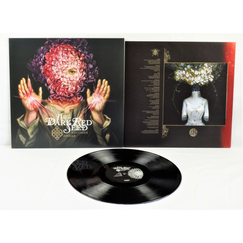 The Dark Red Seed - Becomes Awake Vinyl LP  |  Black