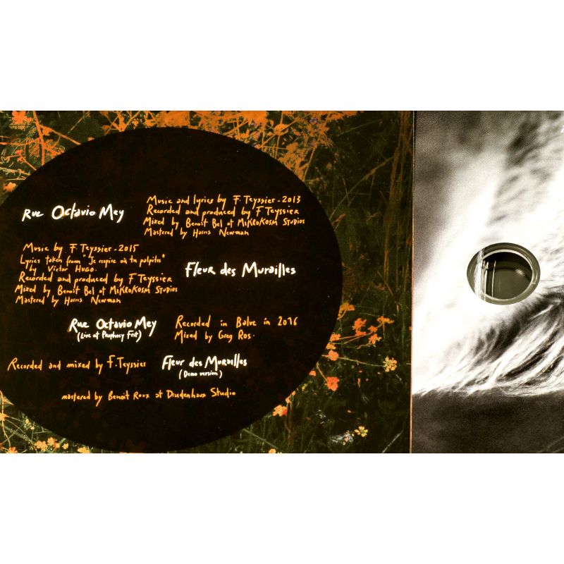 Les Discrets - Rue Octavio Mey / Fleur des Murailles CD