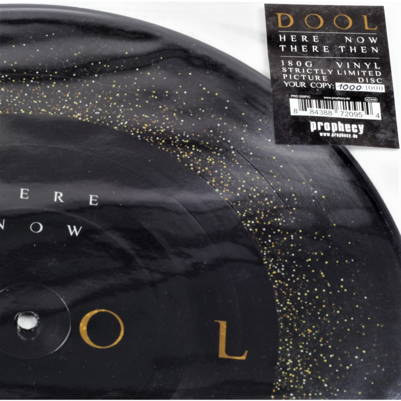Dool - Here Now, There Then Vinyl Picture LP  |  Picture