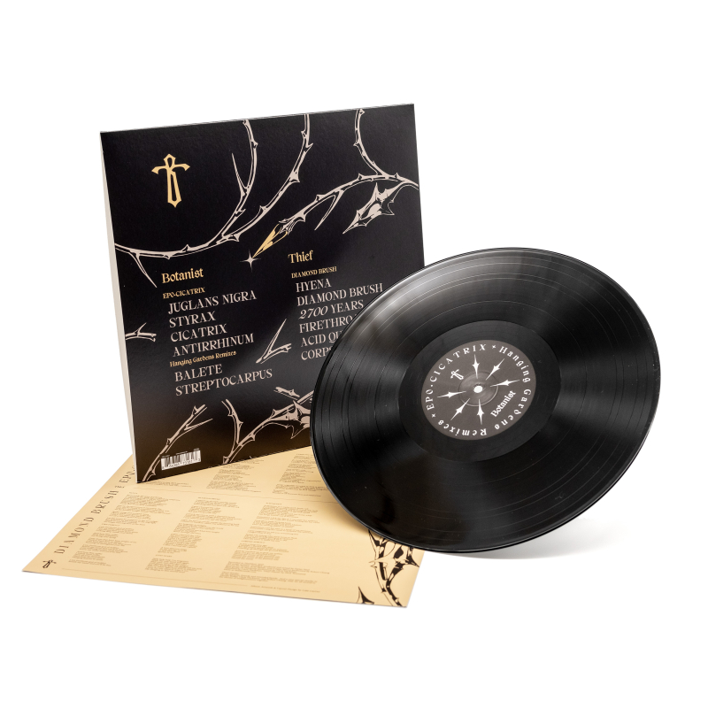 Thief - Cicatrix / Diamond Brush (Split with Botanist) Vinyl LP  |  Black