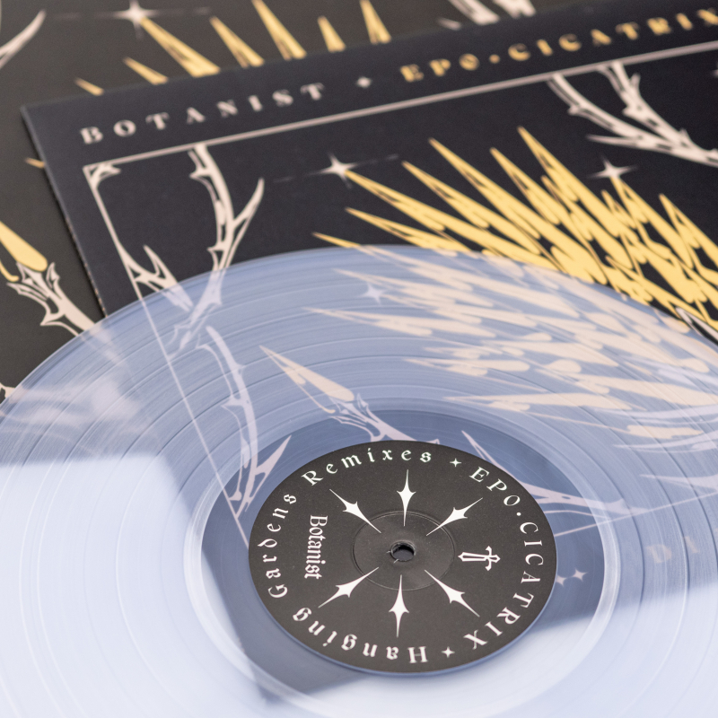 Thief - Cicatrix / Diamond Brush (Split with Botanist) Vinyl LP  |  Clear