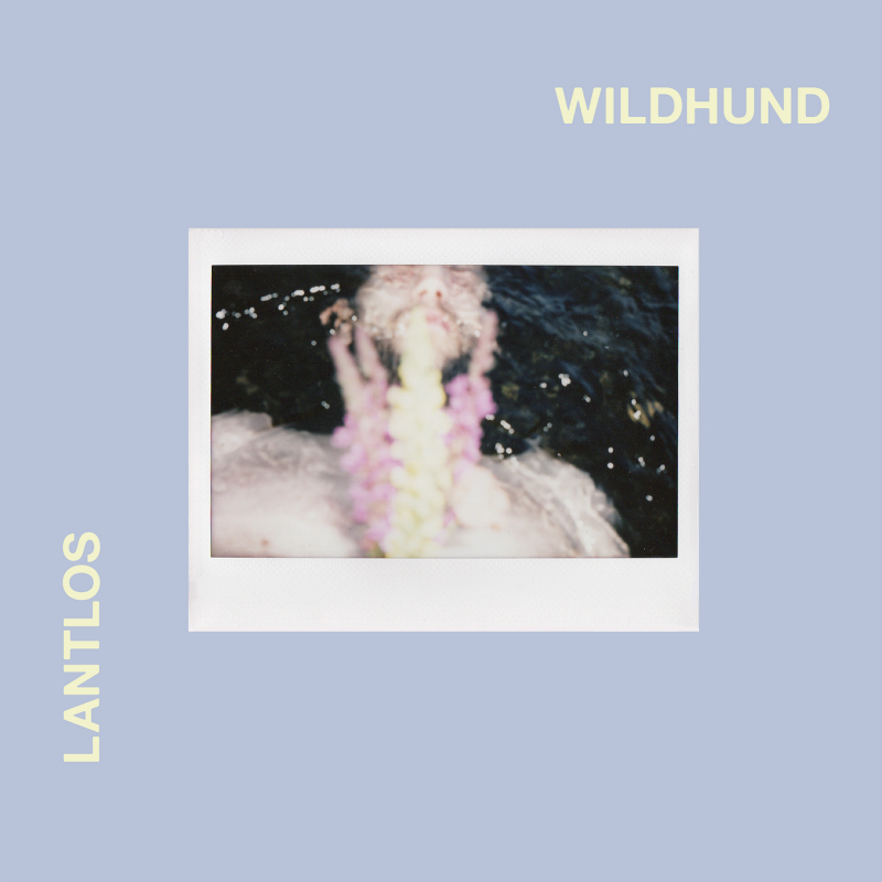 lantlos-wildhund-pro.216-main.jpg